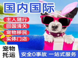 满洲里空运代理国际宠物托运 【国